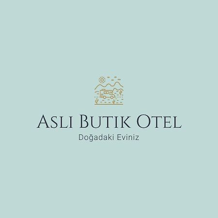 Asli Boutique Hotel Akbük Exterior foto